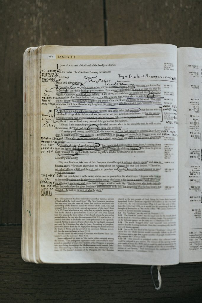 Rédaction SEO Freelance