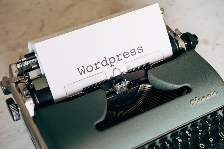 Expert WordPress en France