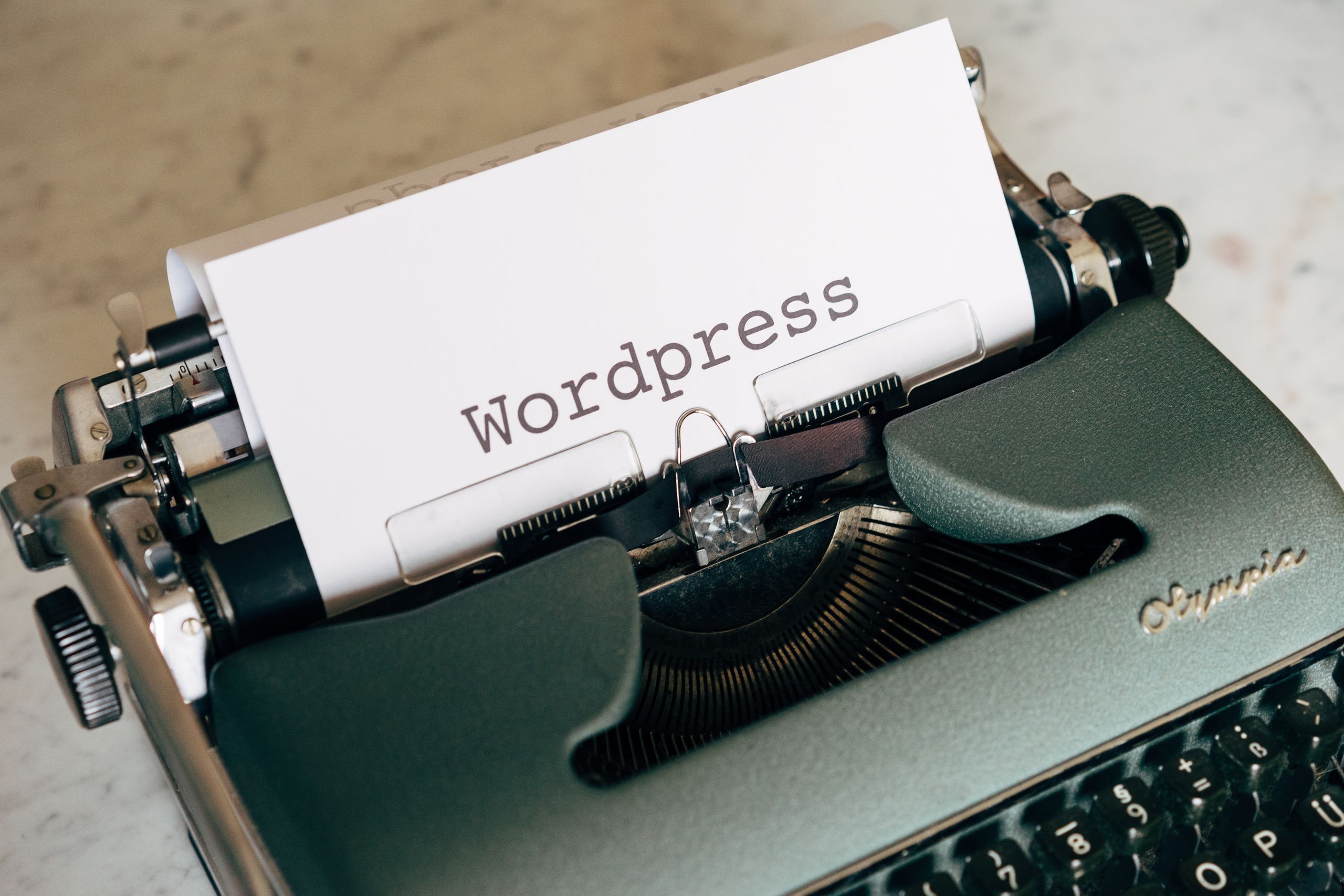 Expert WordPress en France
